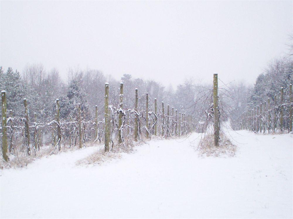 High Meadows Vineyard Inn Scottsville Eksteriør bilde